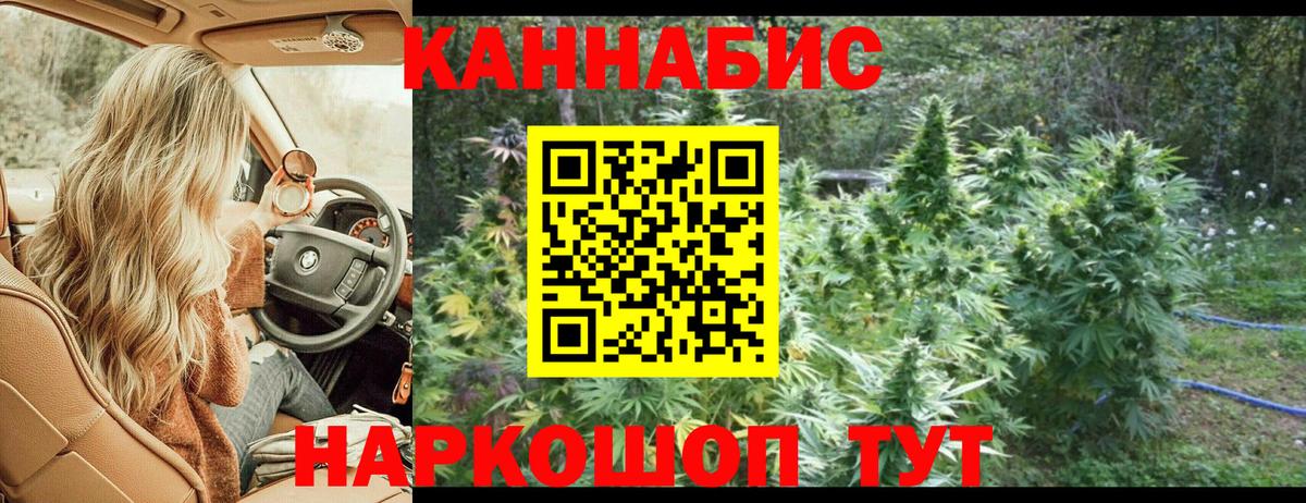 Марихуана планчик  Вход с VPN  Шишки марихуана тримм  МАРИХУАНА OG Kush  Семёнов 